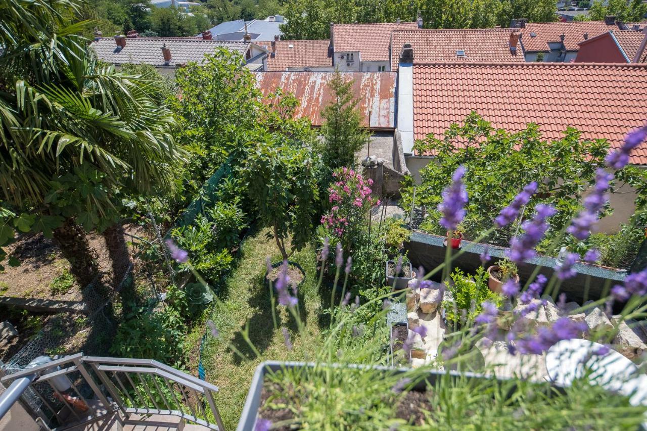 Apartment Zorica Crikvenica Dış mekan fotoğraf